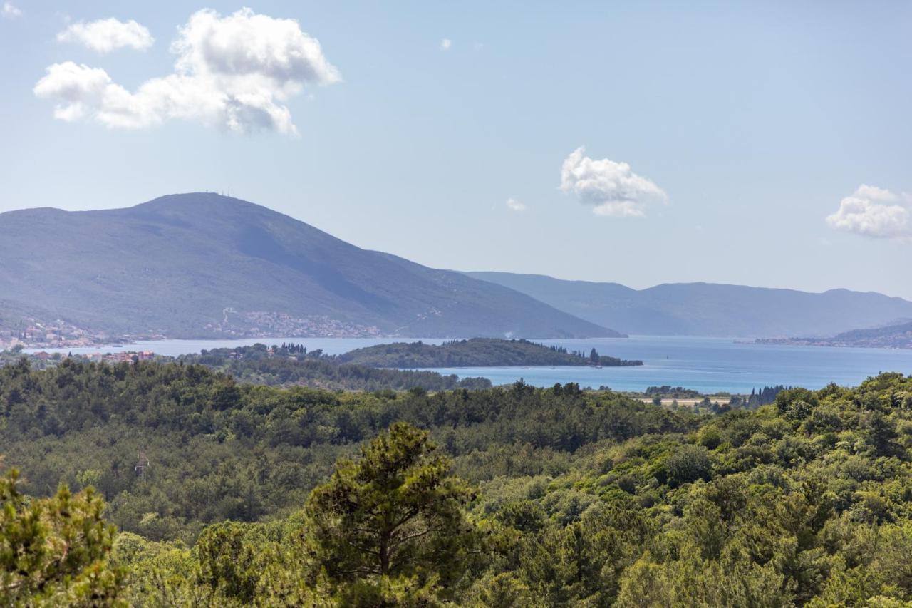 Sunny Nest Apartments Kotor Bagian luar foto